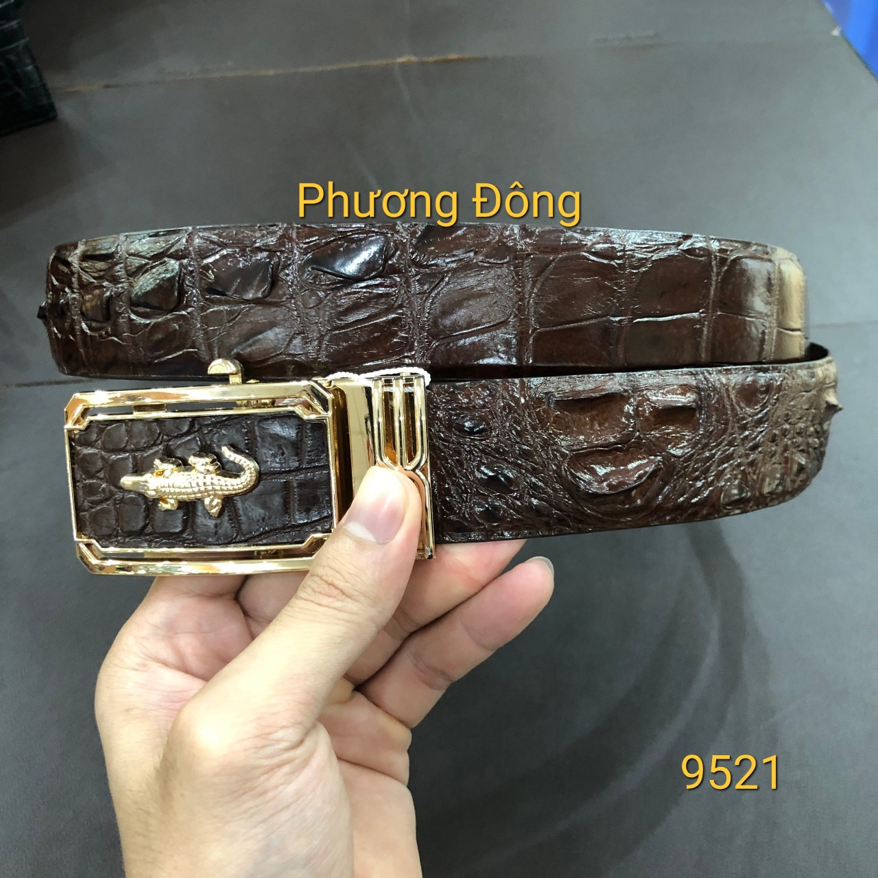 z4513013301137_6777778481c20b125d6e08bd3c3bbc47