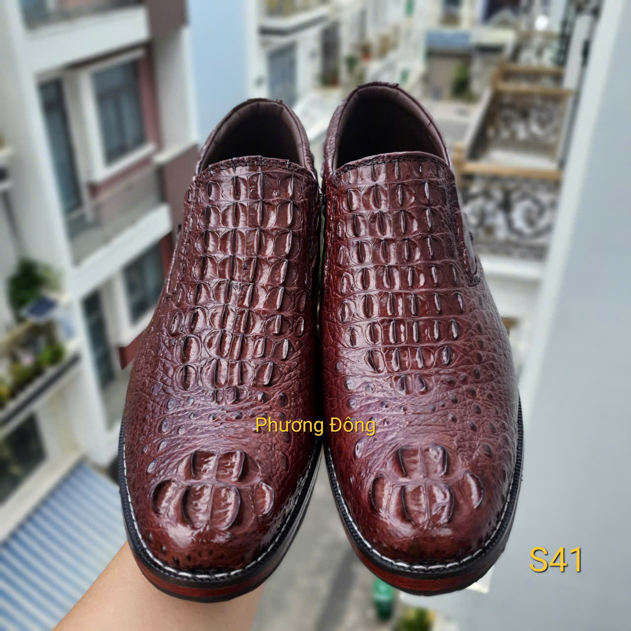 gen-h-z7057981340024_126910c422c9151038d0b51cc04ffbb9