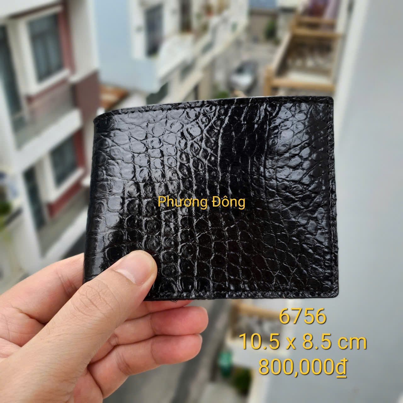 gen-h-z6759919332559_b29809feae9fda11b275fc0abe59c786