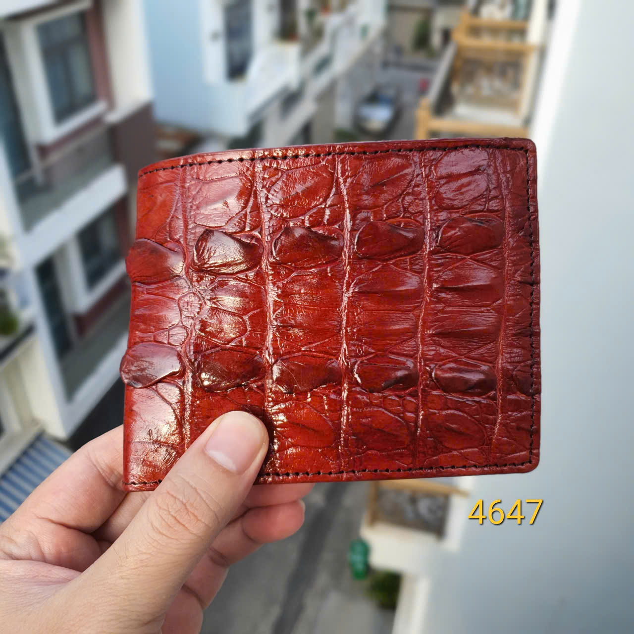 gen-h-z6901901810437_89987b365ebe83554dbc1f734b232fff