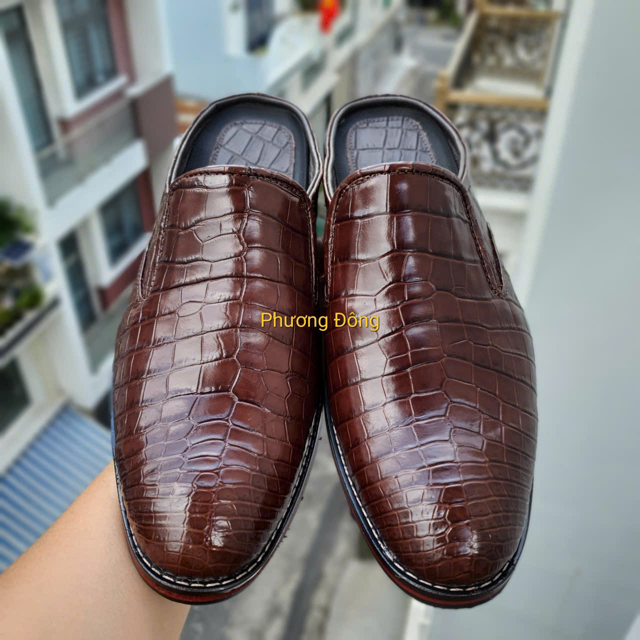 gen-h-z6978765857867_0aec3290fd8fdfd4dbb9f1c8bfd2018a