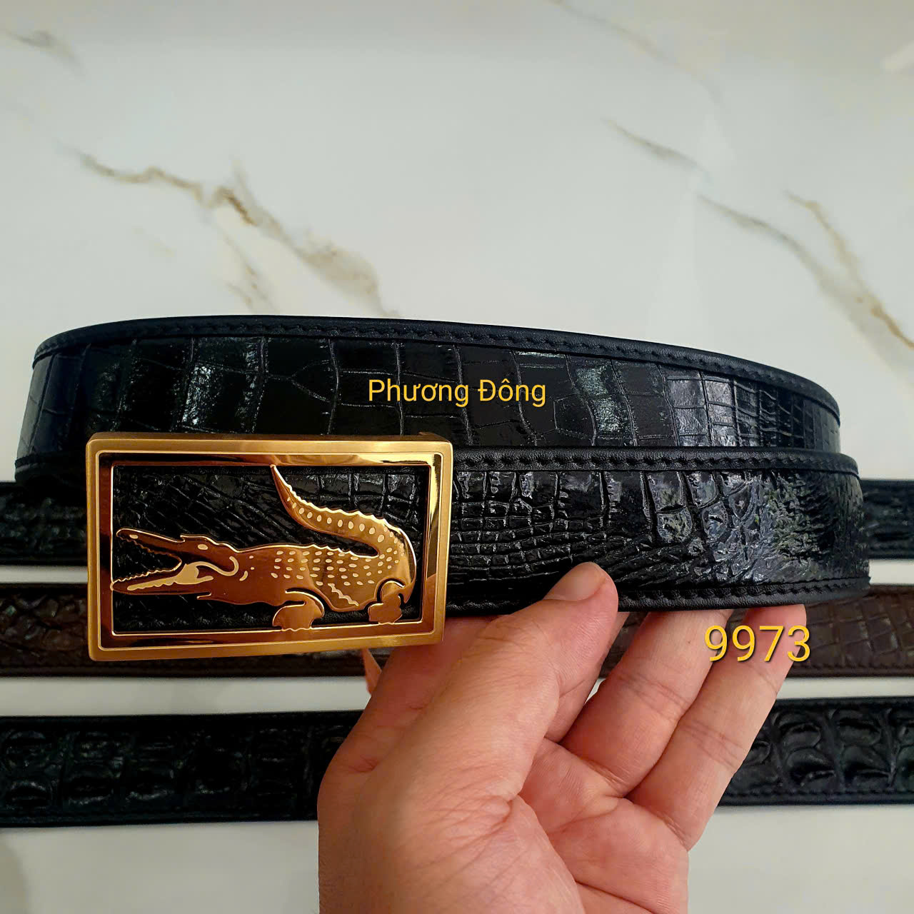 gen-h-z7093265103006_1038f5857da2ea84de2236c54daa8f40