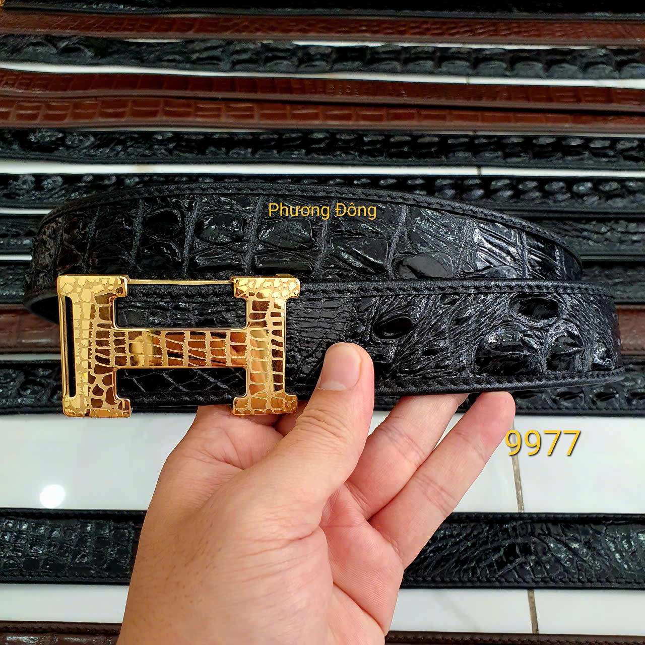 gen-h-z7122135128481_a126811c481cc15474552f040c30ec98